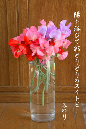 花-173.jpg