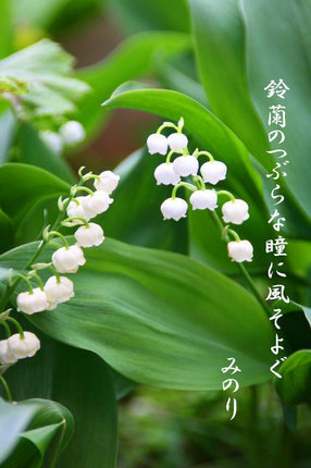 スズラン~-068.jpg