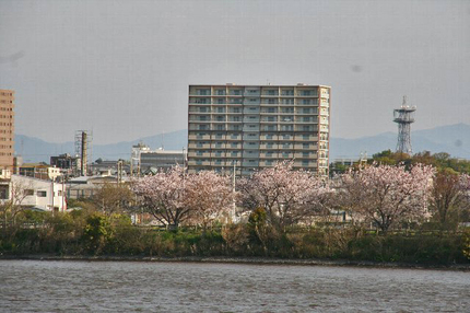桜-051.jpg