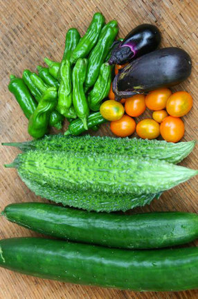 野菜-~~019.jpg