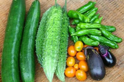 野菜-~~029.jpg