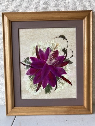 孔雀サボテンの花」 by ユ-リン｜Artmeter｜暮らしを彩るアート