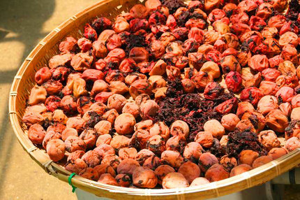 umebosi-080.jpg